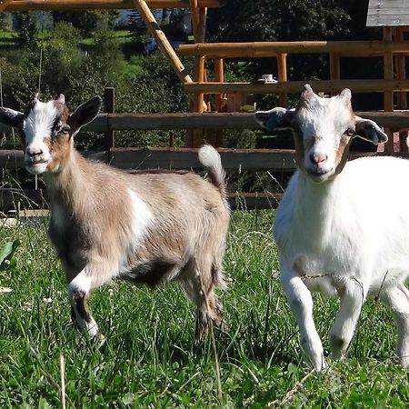 Farma Ruzova Βίλα Εξωτερικό φωτογραφία