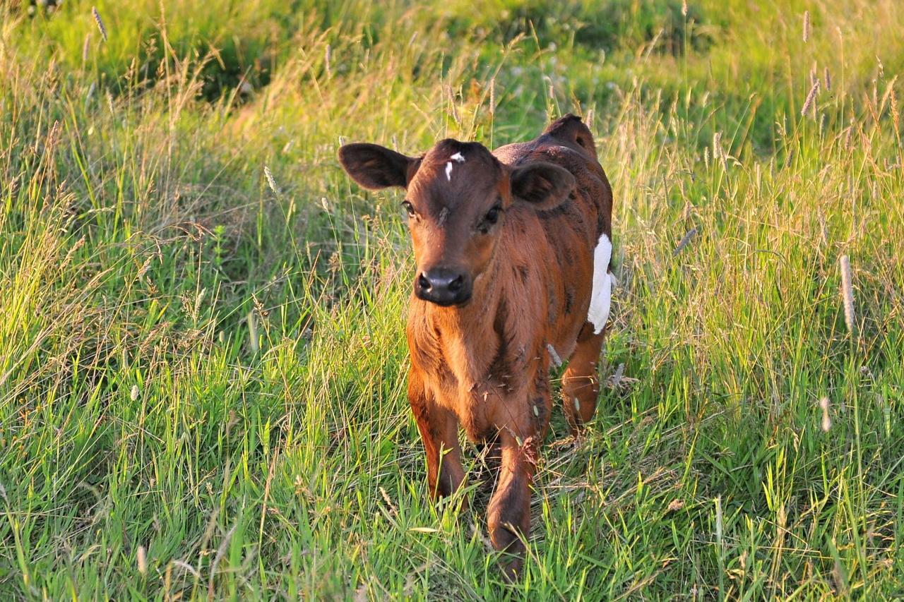 Farma Ruzova Βίλα Εξωτερικό φωτογραφία